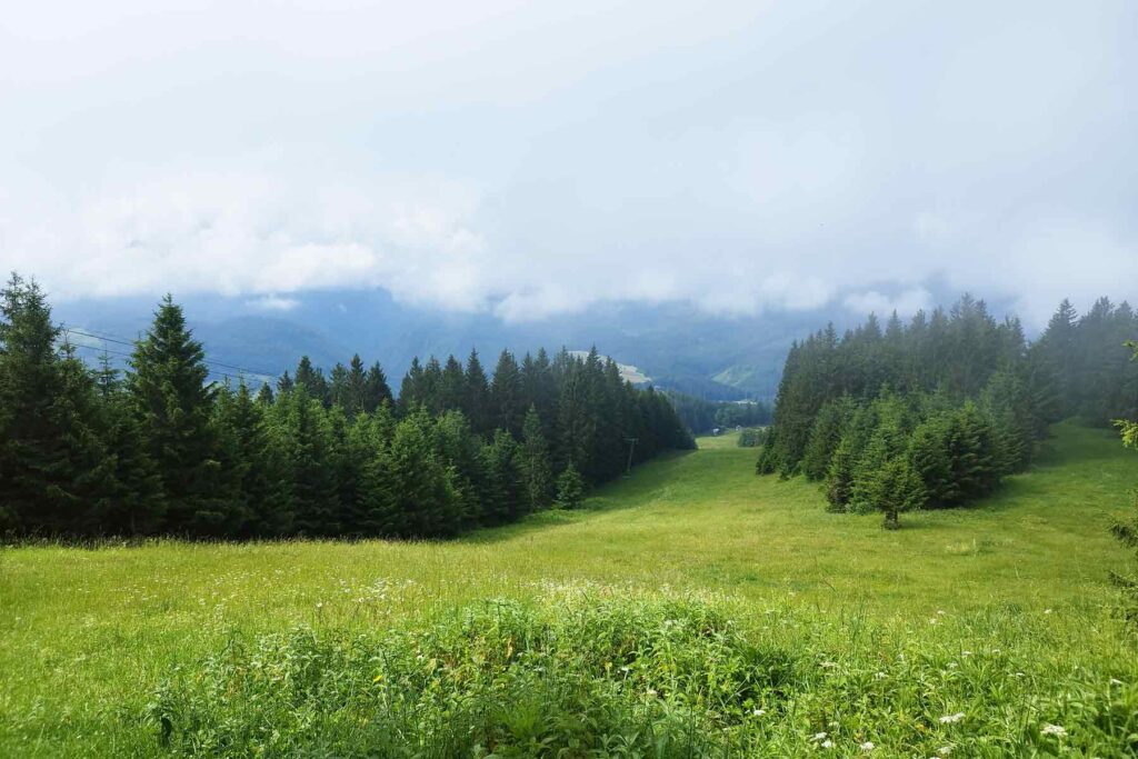 Woche Teilen Hochbärneck