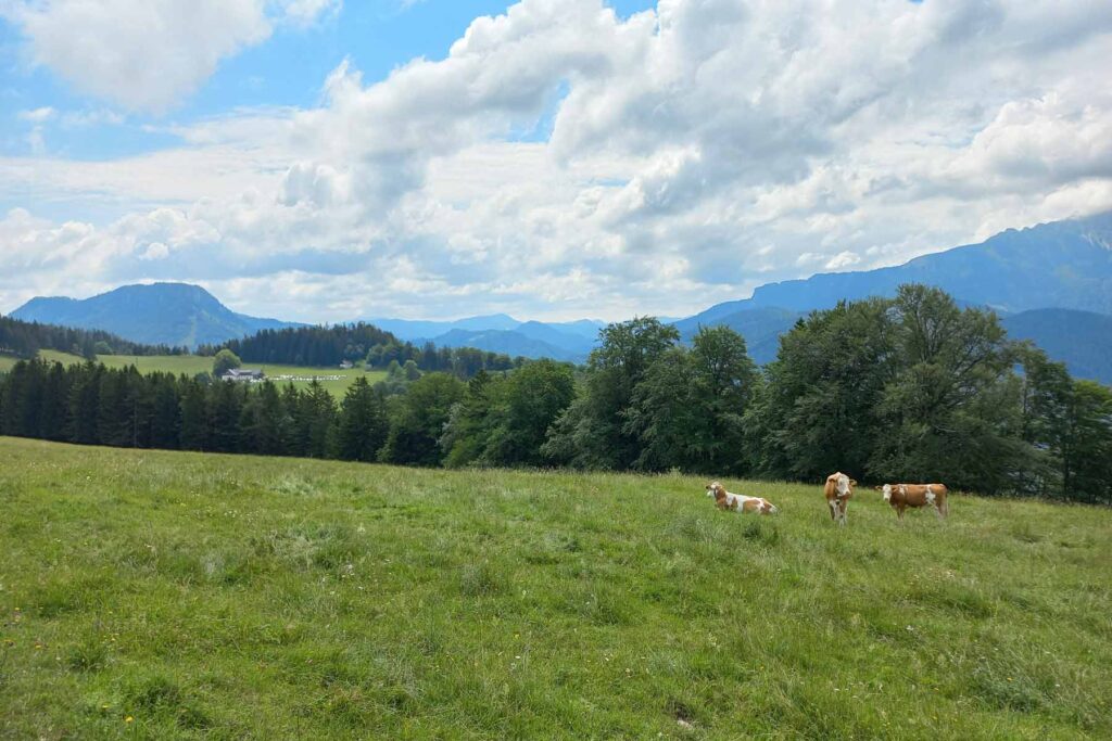 Woche Teilen Hochbärneck